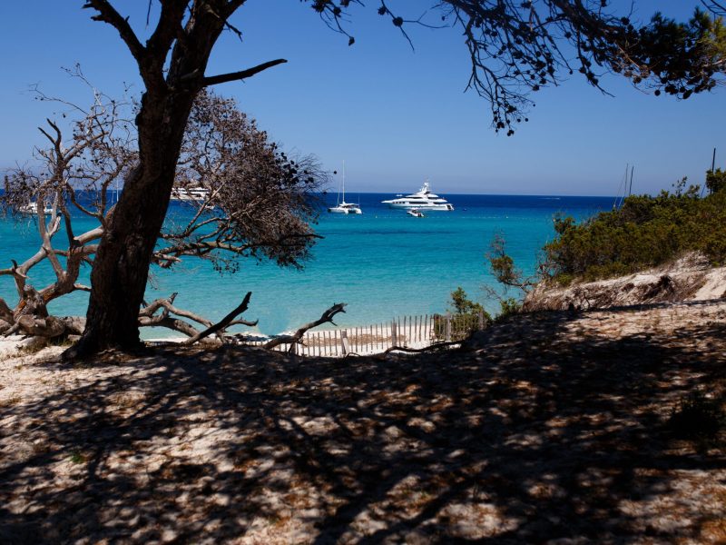 Image from island Corsica, France, seascape background. Horizontal view.