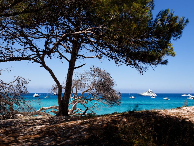 Image about Corsica, France, seascape background Horizontal view