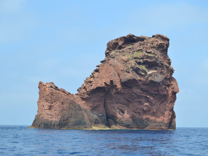 toujours Scandola avec ses poissons 2